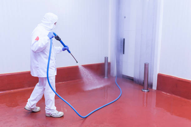 Best Post-Construction Pressure Washing  in Ridley Rk, PA