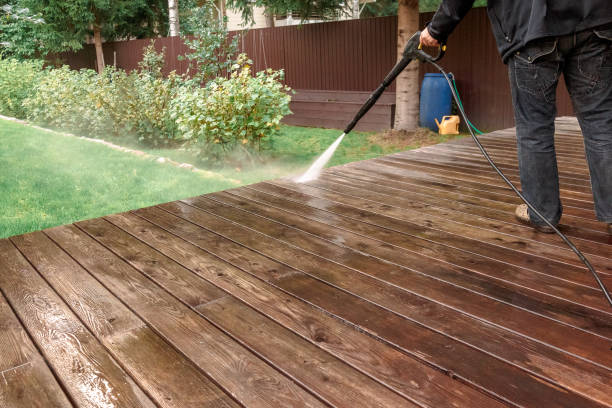 Animal Enclosure Cleaning in Ridley Park, PA